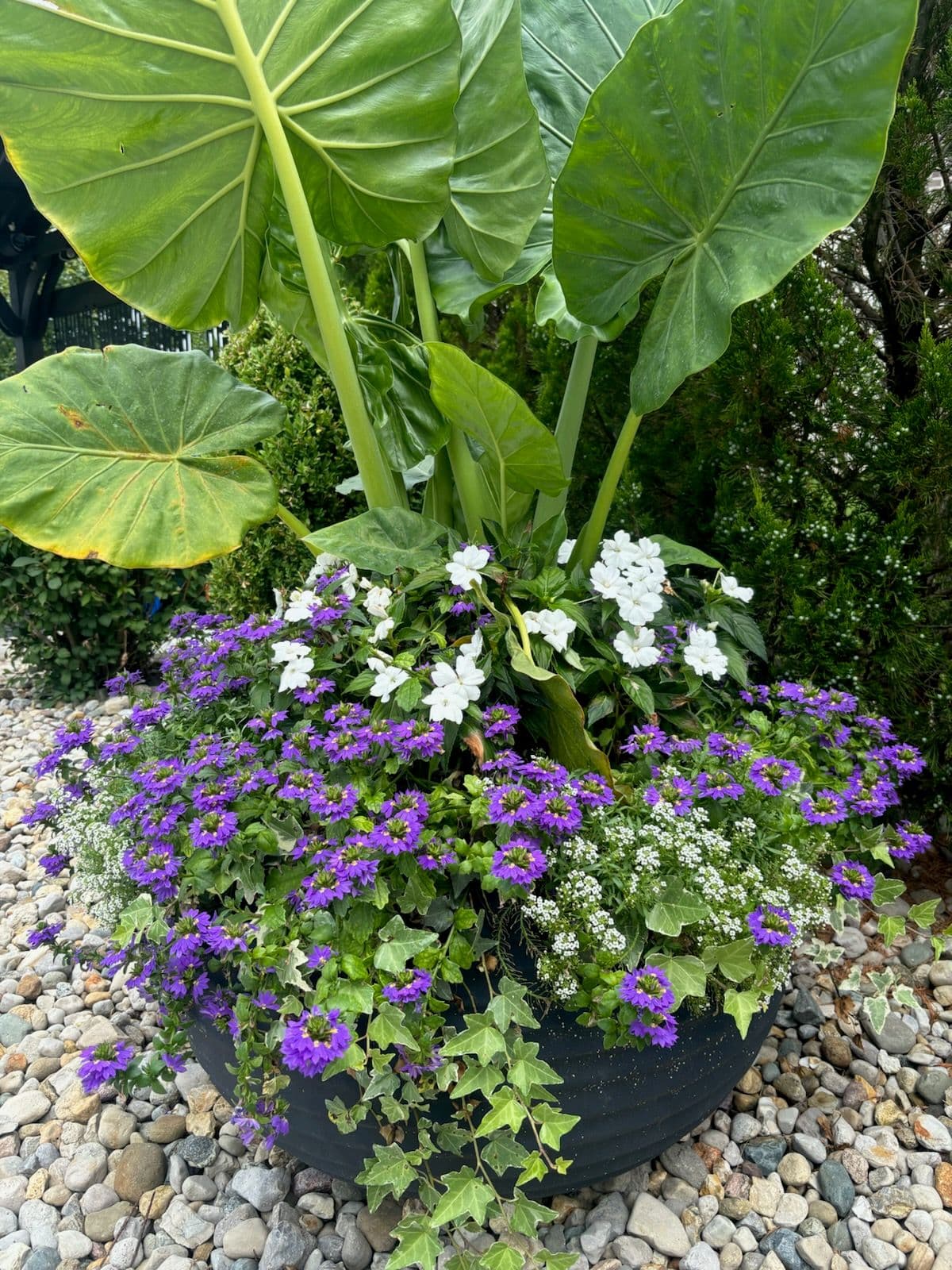 Transform Your Garden with Stunning Planter Arrangements image