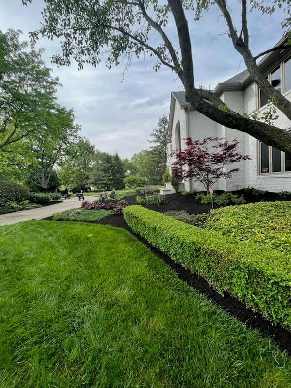 Lush Green Paradise with Fresh Mulch and Cleanup image