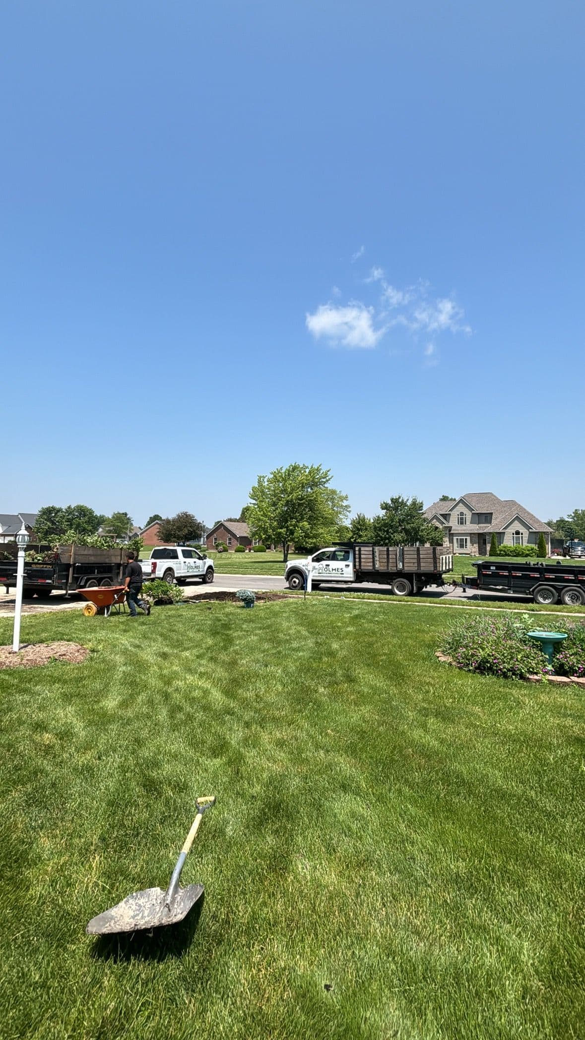 Revitalize Your Lawn with Expert Care image