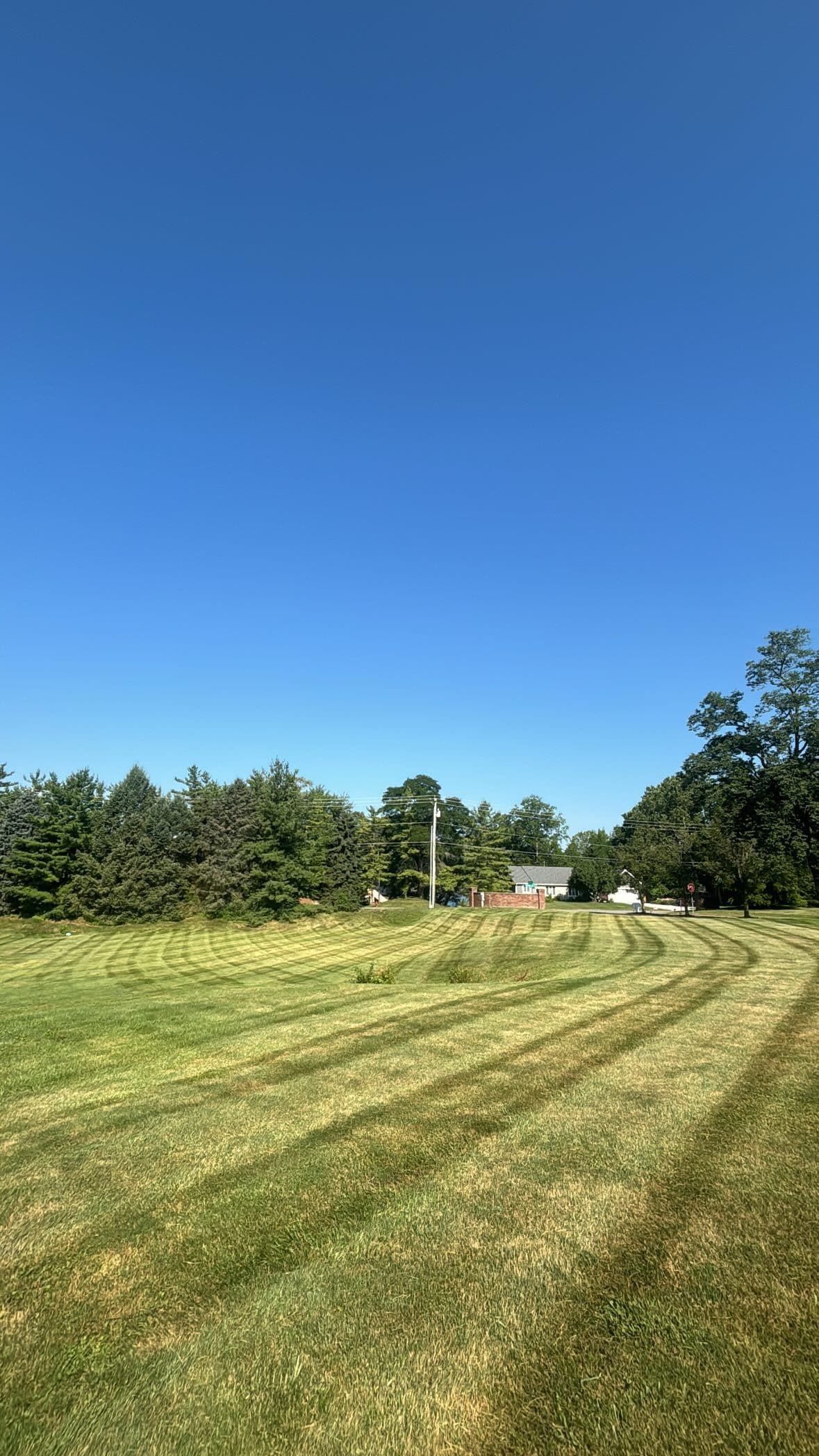 Perfectly Manicured Mow Lines for Your Lawn image