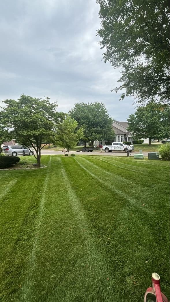 Gallery photos for Perfectly Manicured Mow Lines for Your Lawn: Image #1