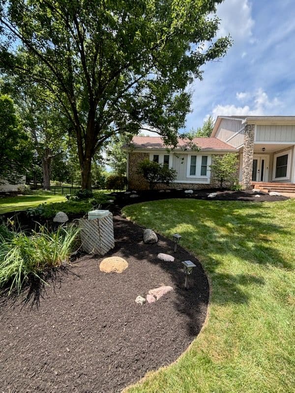 Lush Lawn Transformation with Mulch and Edging image