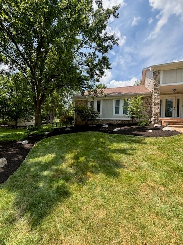 Gallery photos for Lush Lawn Transformation with Mulch and Edging: Image #1