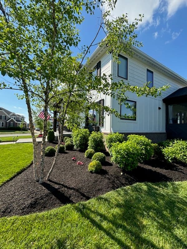 Exquisite Landscape Transformation for Summer image
