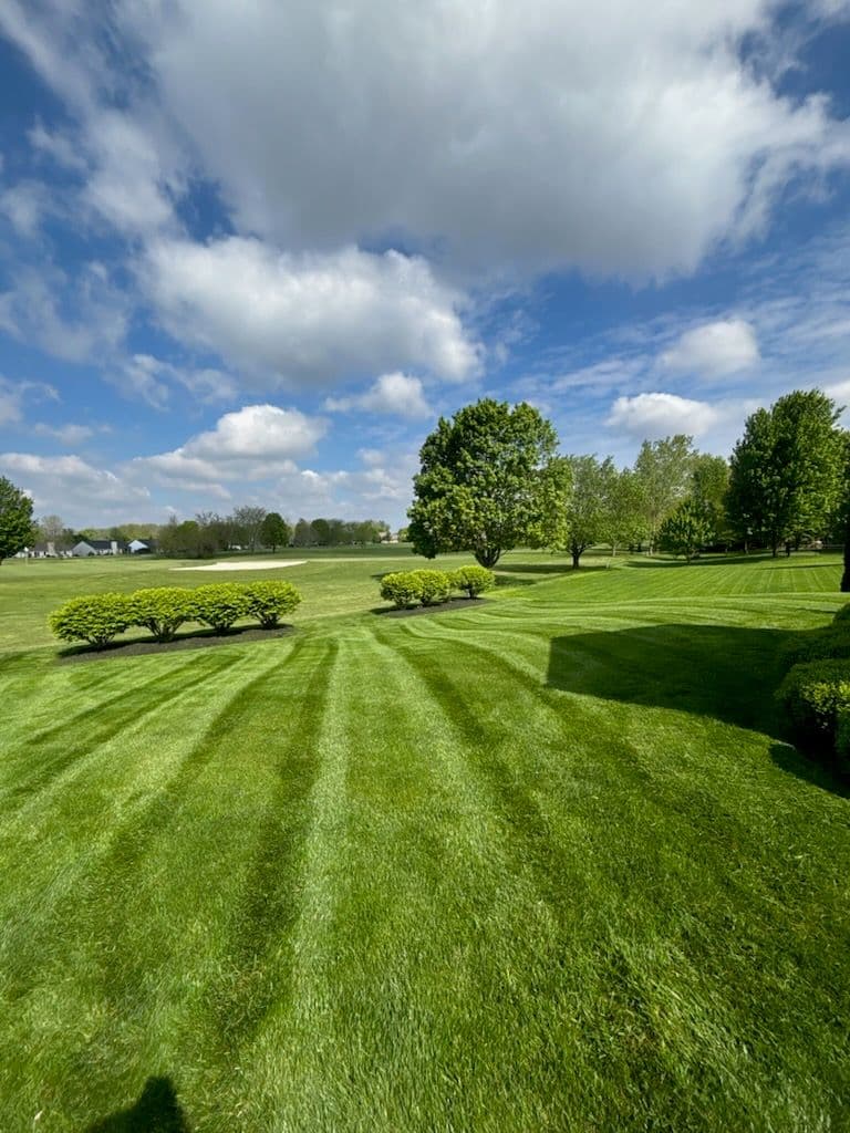 Create a Stunning Lawn with Precision Mowing image