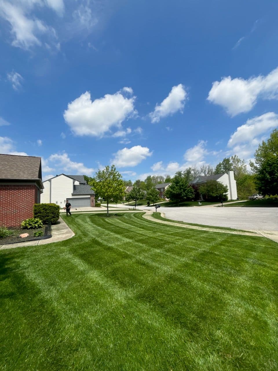 Gallery photos for Create a Stunning Lawn with Precision Mowing: Image #1