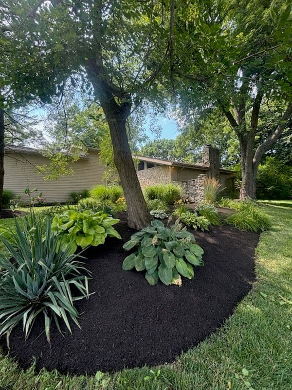 Stunning Garden Transformation with Lush Greenery image