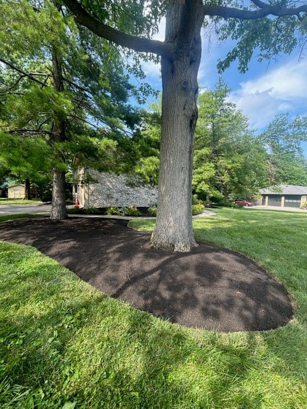 Gallery photos for Stunning Garden Transformation with Lush Greenery: Image #1