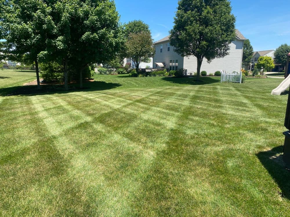 Lush green lawn with striped patterns, trees, and residential homes in background.