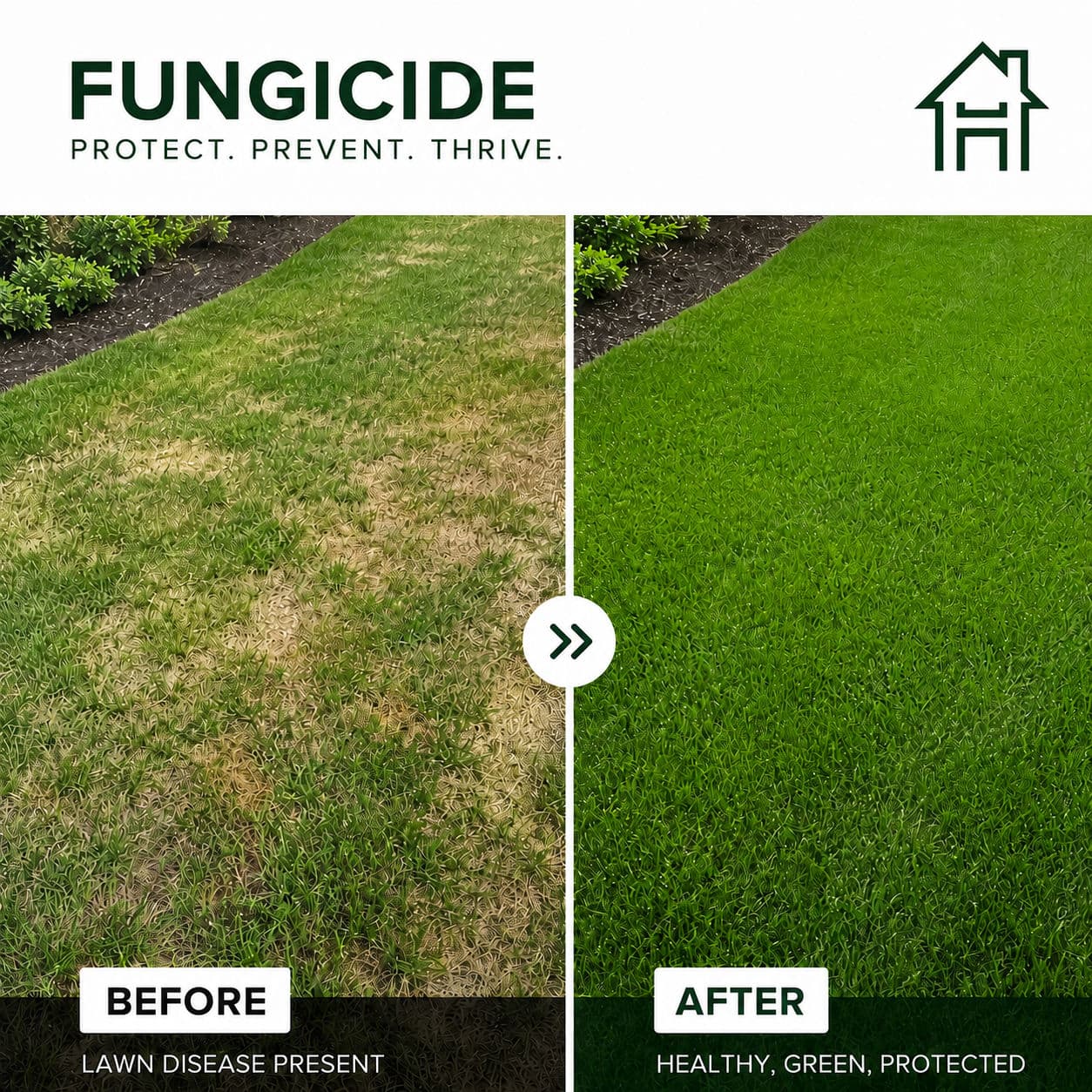 Common Lawn Diseases in Central Indiana image