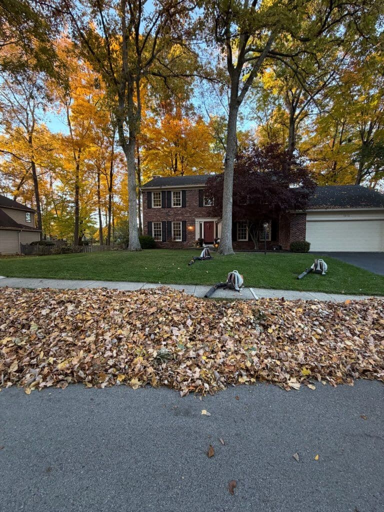 Gallery photos for Efficient Fall Cleanup for a Leaf-Free Lawn: Image #1