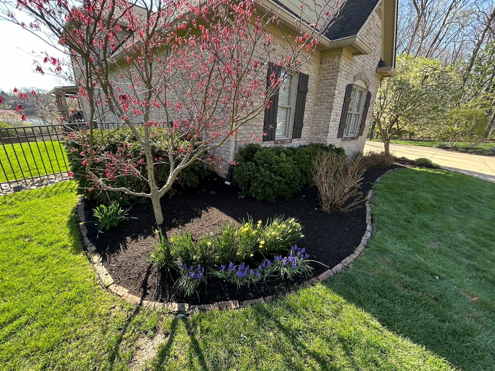 Fresh Spring cleanup for a happy client in noblesville image
