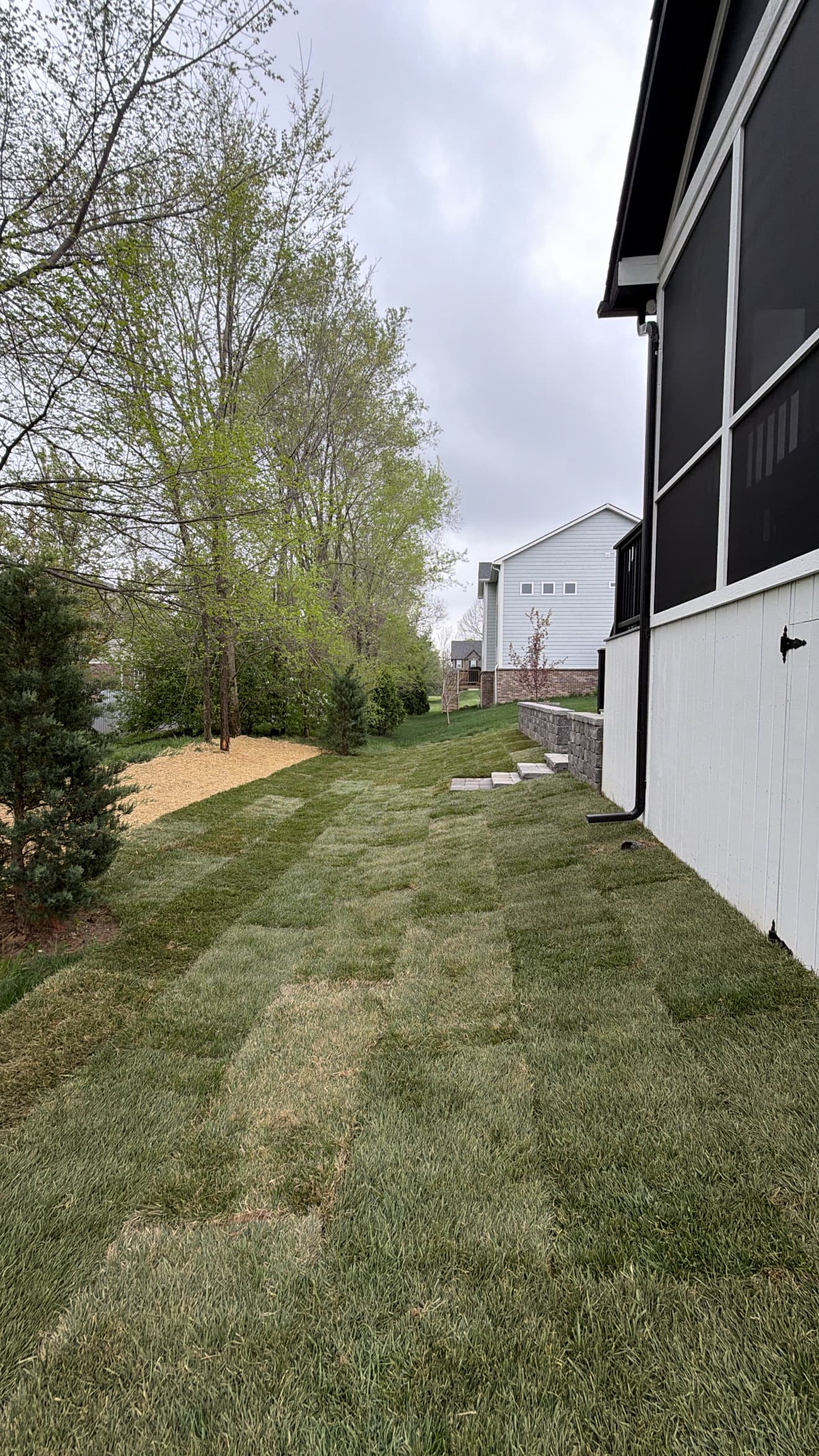 Drainage Fix and Fresh Sod Installation in Noblesville image