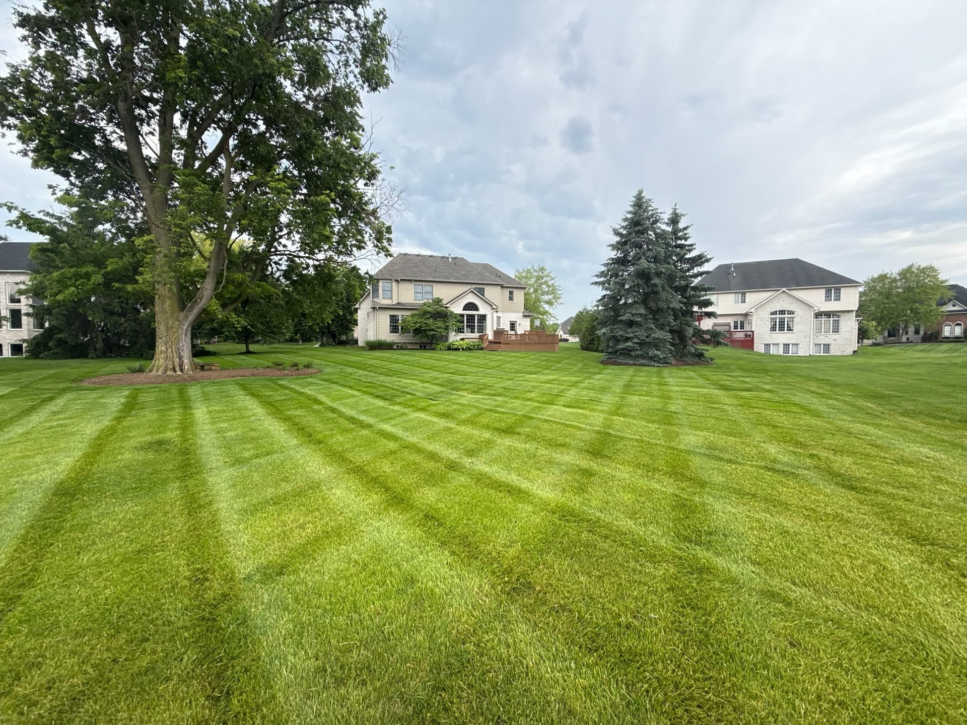 Clean Mowing Stripes That Make Your Lawn Stand Out image