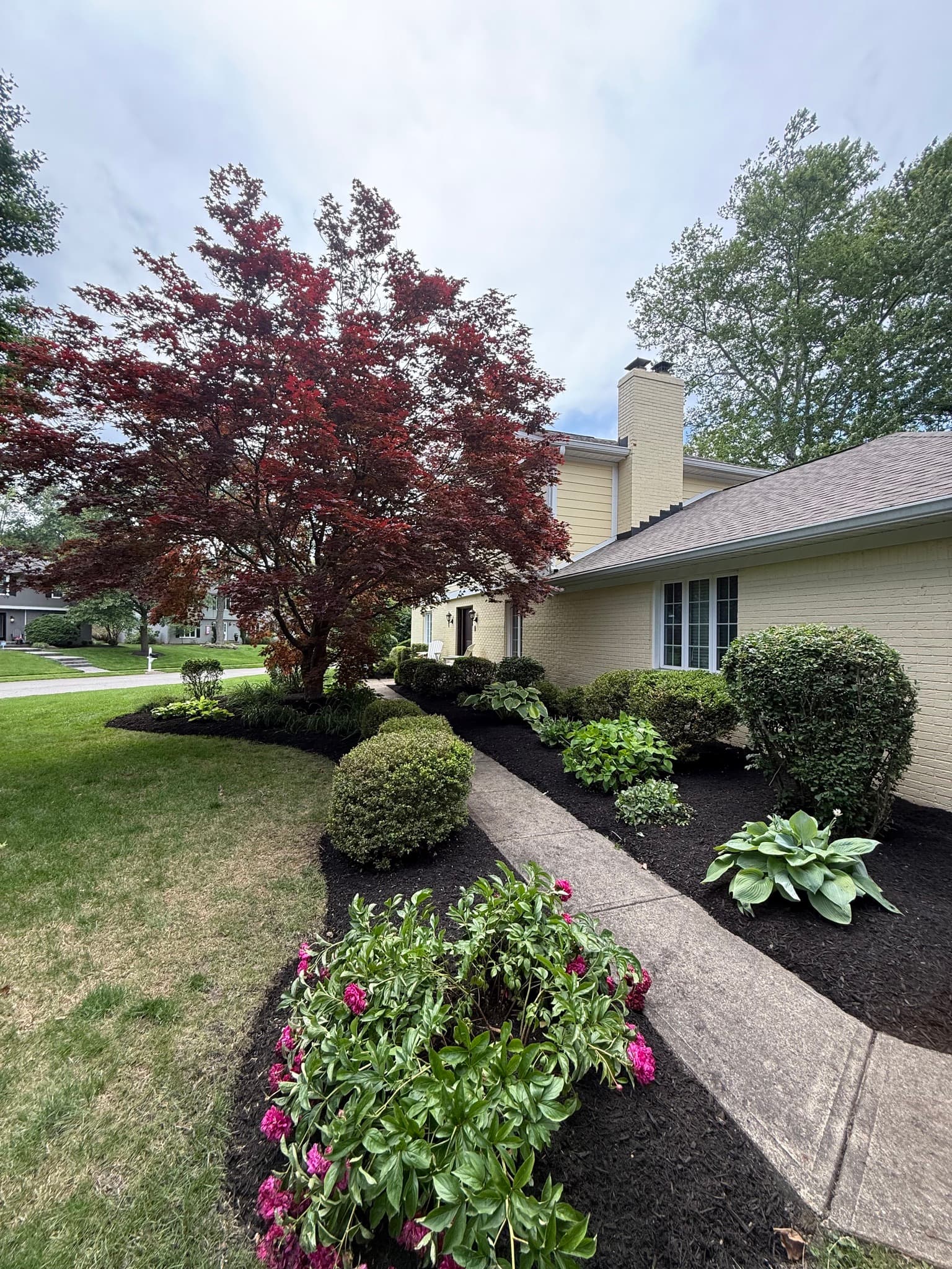 Spring Cleanup Done Right - Fresh Mulch, Clean Edges, Happy Client image