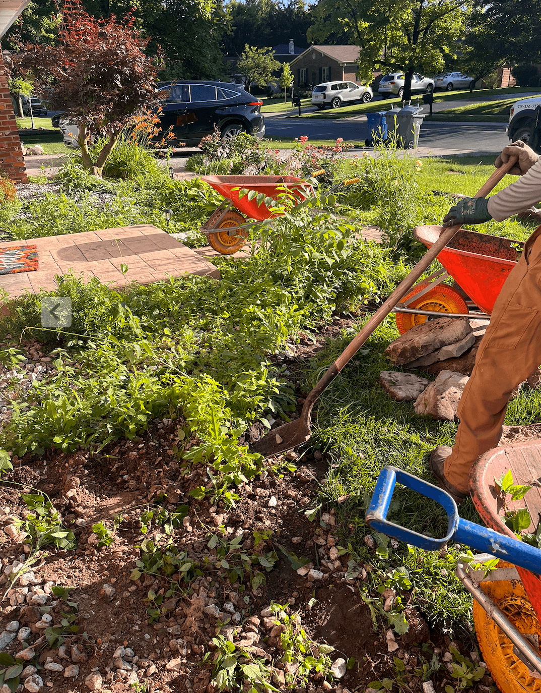 Gallery photos for Bed Cleanup and Plant Installation at a Noblesville Home: Image #1