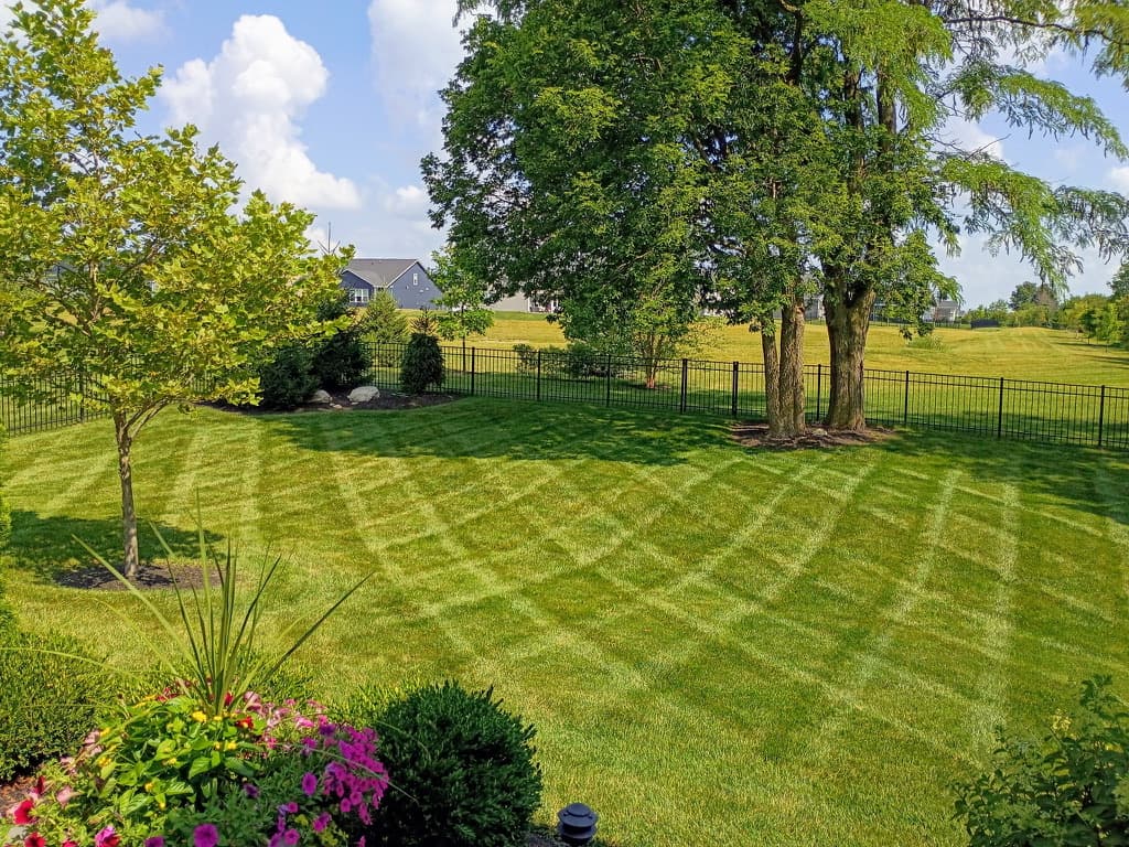 Your Lawn Could Look Like This Every Single Week image