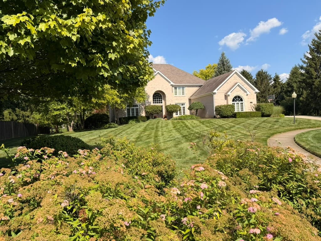 Crisp Mowing Stripes for a Carmel Indiana Home image