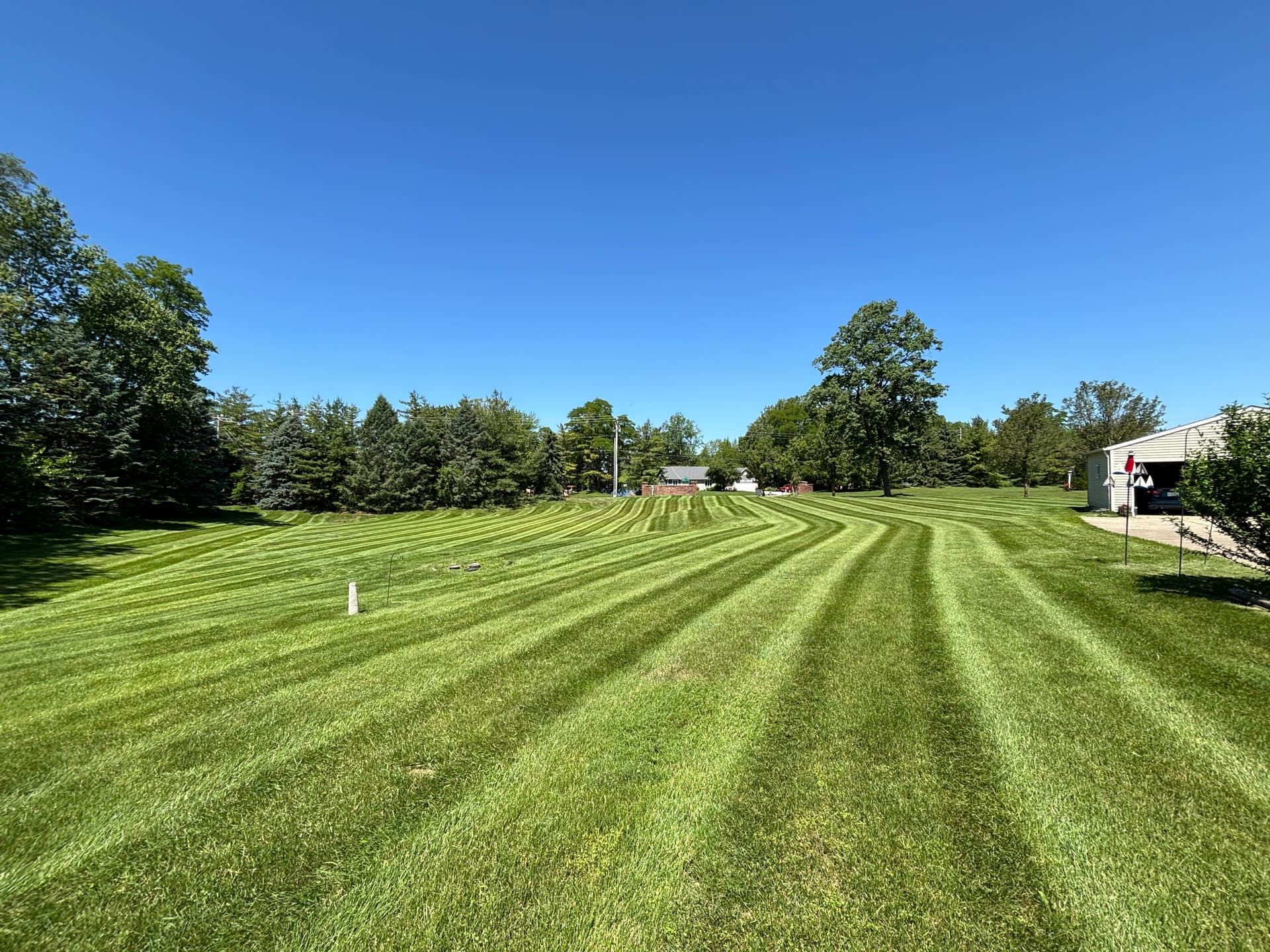Your Lawn Could Look This Good Every Single Week image