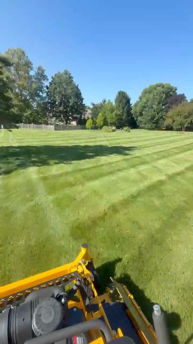 What a Quality Lawn Cut Actually Looks Like image