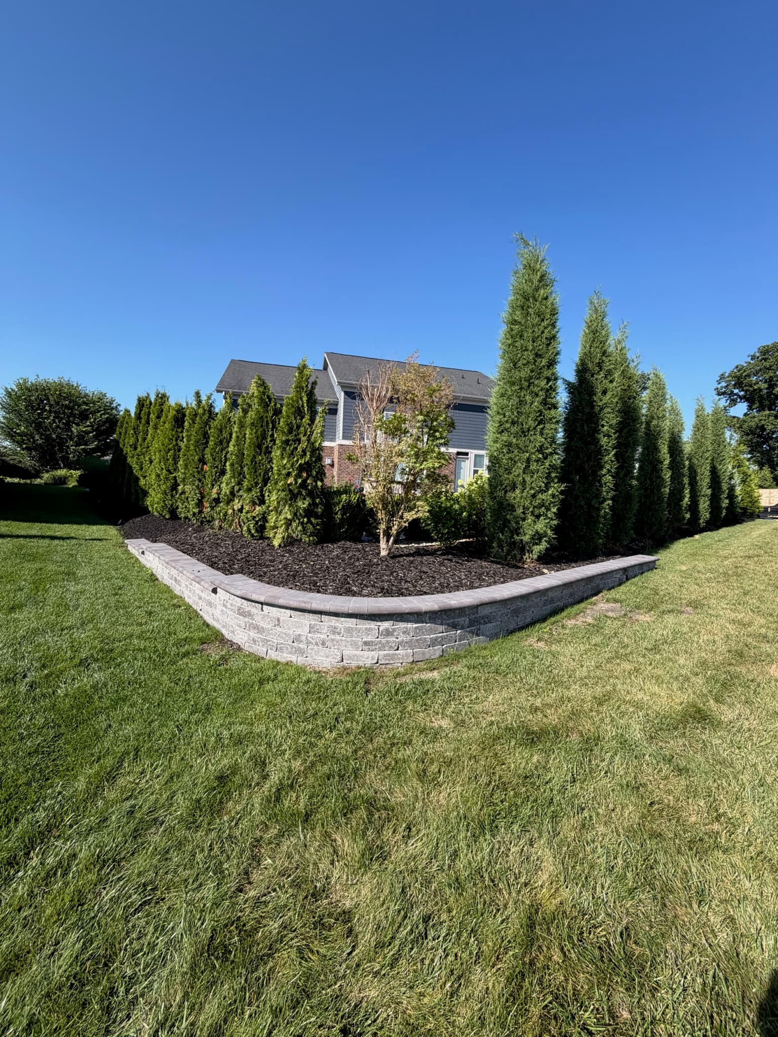 Gallery photos for Stone Retaining Wall and Arborvitae Planting in Fishers Indiana: Image #1