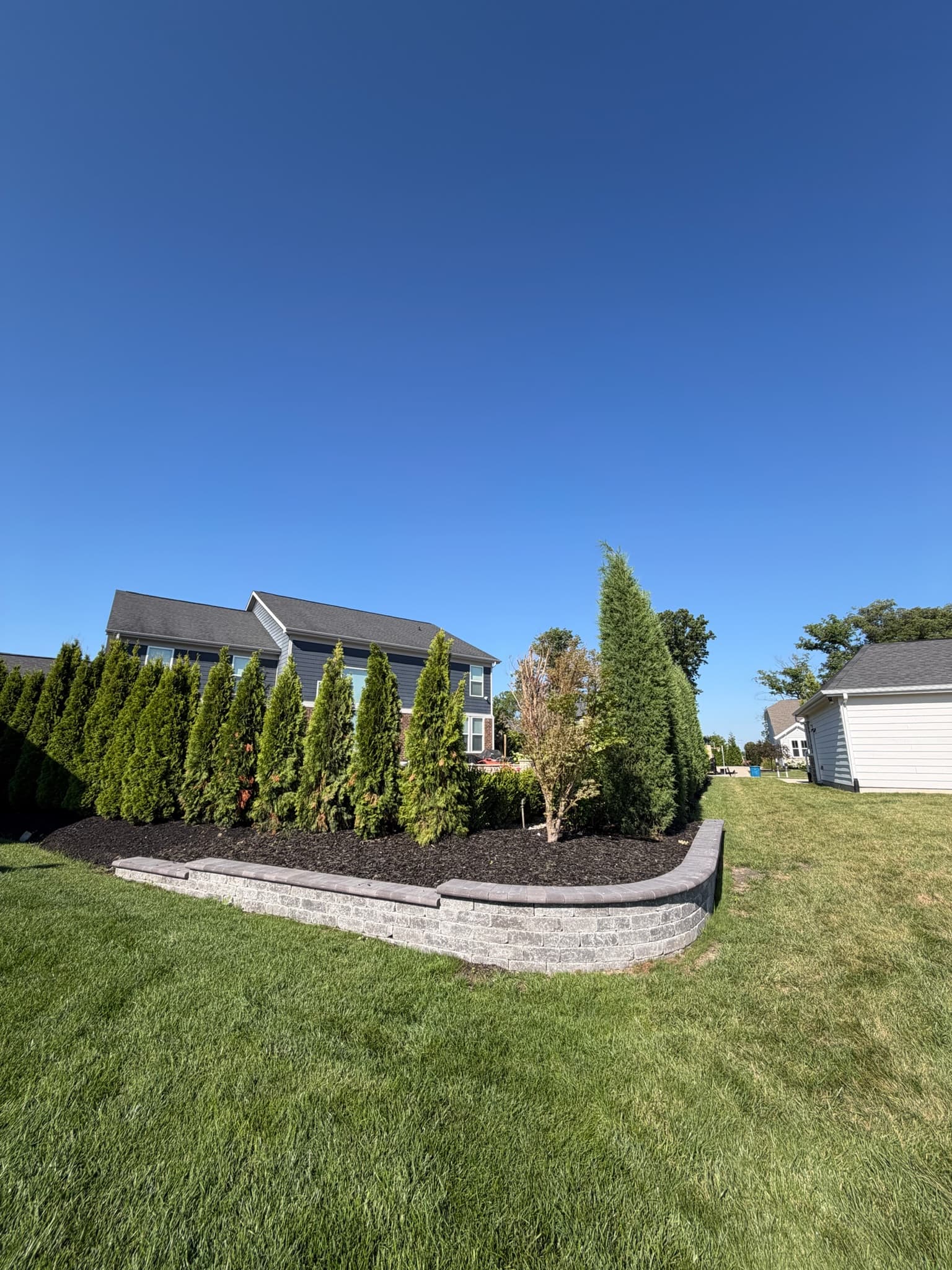 Stone Retaining Wall and Arborvitae Planting in Fishers Indiana image