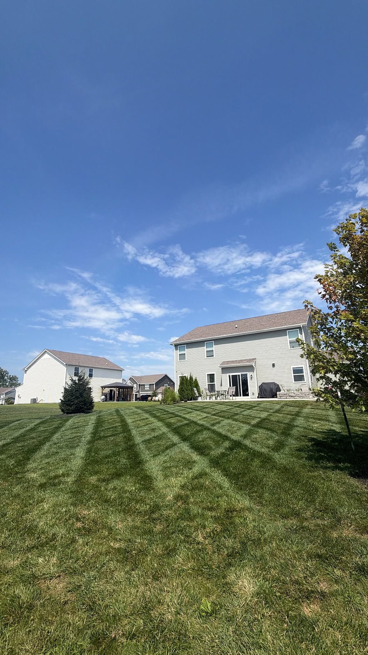 Fresh Cut Stripes That Hold Up in the Summer Heat image