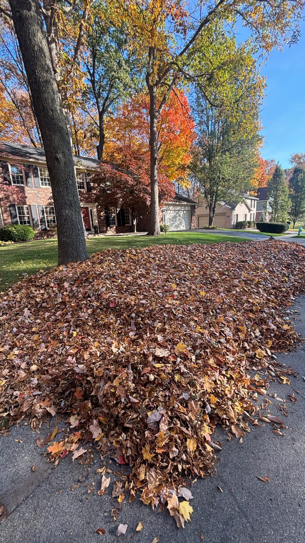 Fall Cleanup Scheduling Is Now Open image