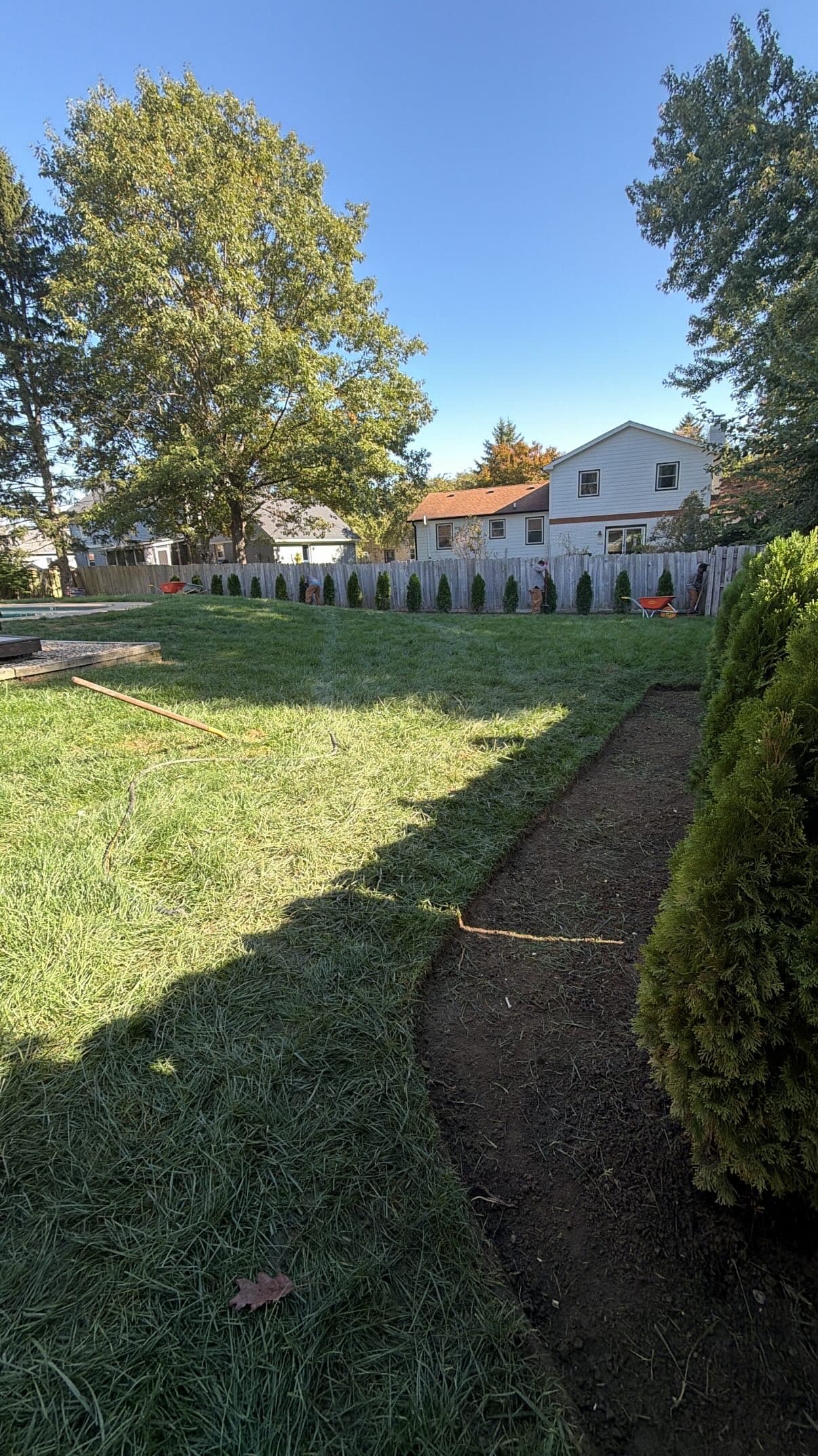 Arborvitae Row and New Landscape Bed Installation in Carmel Indiana image